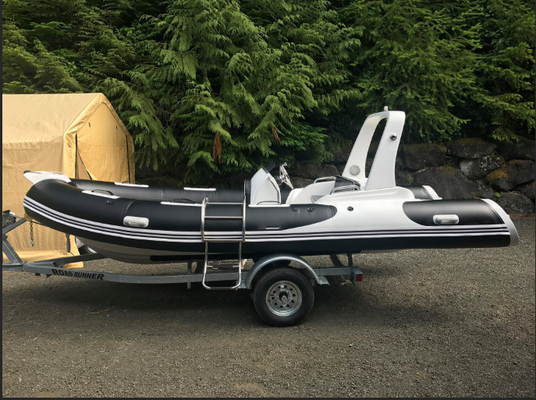 Barco inflable 2022 con motor de PVC de 17 pies o hipalón con terraza de sol gris claro RIB520C proveedor