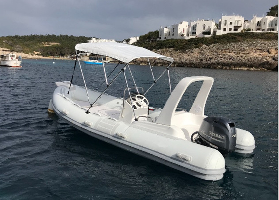 2022 casco grande rígido con motor de PVC de 17 pies o hipalón con terraza de sol gris claro RIB520C proveedor