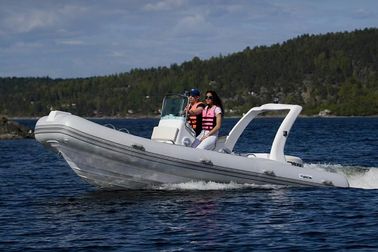 Barcos inflables de fondo rígido, pontones inflables Barcos pesqueros con motor proveedor