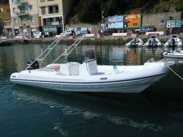 15 Personas Inflables Barco de costillas Resistencia a la abrasión 25 Ft Orca Hypalon Todos los colores proveedor