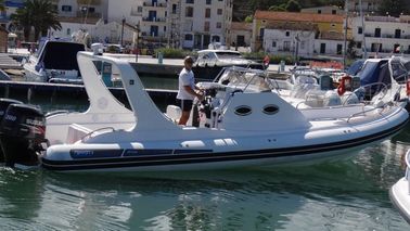 31 pies Orca Hipalon Rib inflado Barco Rib960B 7 cámara con pequeña cabina proveedor