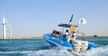 7 de cámara portátil de vela de la barca con la costilla 960C 32 pies para el deporte acuático diversión proveedor
